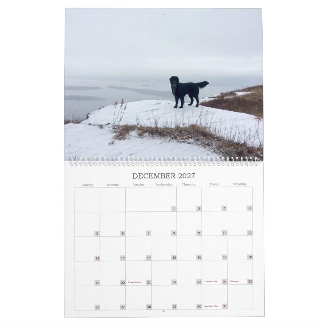Hiking with Hazel 2022 Calendar Kalender (Dec 2027)