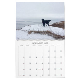 Hiking with Hazel 2022 Calendar Kalender