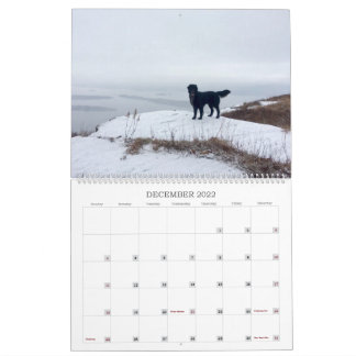 Hiking with Hazel 2022 Calendar Kalender