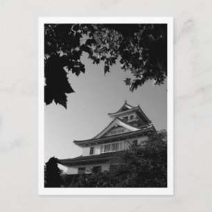 Hikone Castle: Japan Vykort
