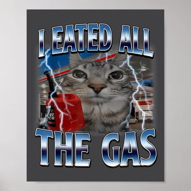 Hilarious Cat Eated Lover Cat Gas I All Silly Sayi Poster (Framsidan)