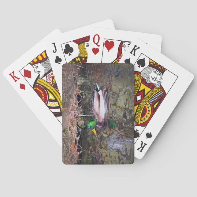 Hillcrest anka spel kort (Baksidan)