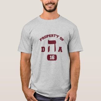 Hillel DHA T-shirt
