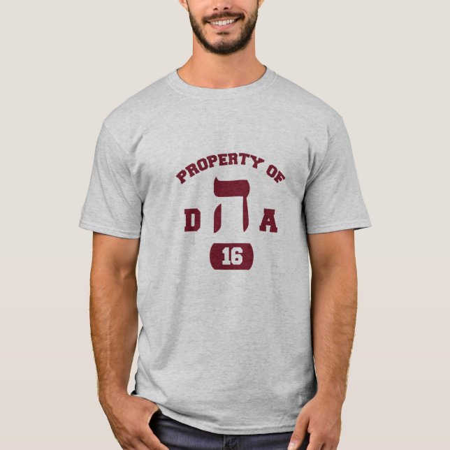Hillel DHA T-shirt (Framsida)