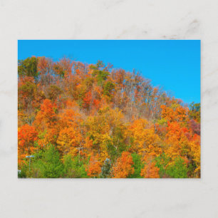 Hillside Autumn Färg, södra Indiana Vykort