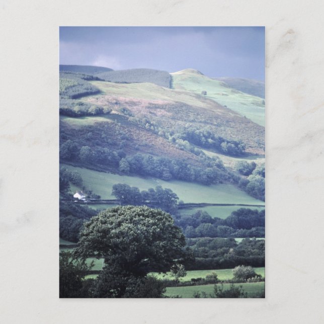 Hillside i Wales UK-vykort Vykort (Framsida)