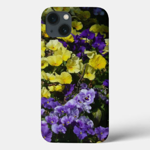 Hillside of Lila and Gult Pansies