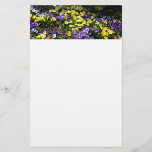 Hillside of Lila and Gult Pansies Brevpapper