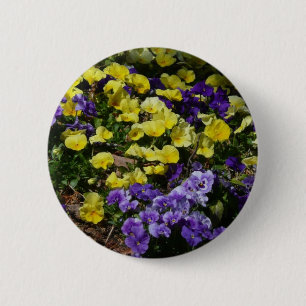 Hillside of Lila and Gult Pansies Knapp