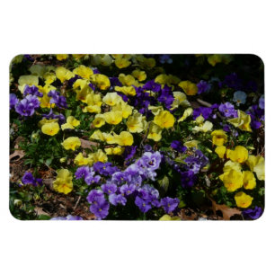 Hillside of Lila and Gult Pansies Magnet