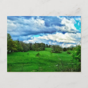 HILLSIDE PASTURE POSTCARD VYKORT