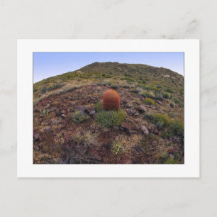 " Hillside Silo " Vykort