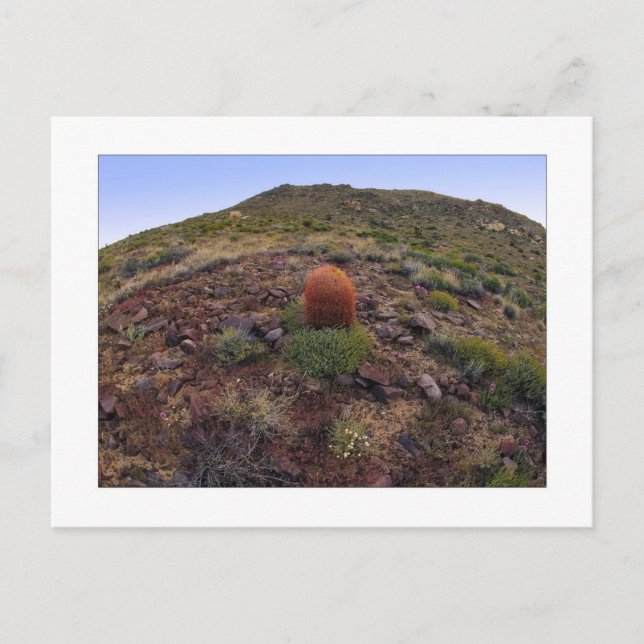 " Hillside Silo " Vykort (Framsida)