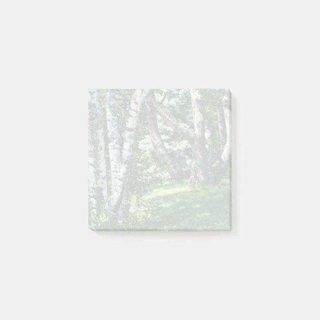 Hillside Träd Post-it Block (Framsida)