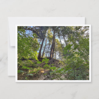 Hillside Vykort
