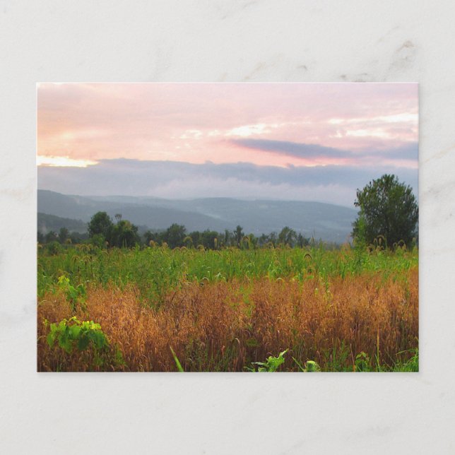 Hilltop vid Sunset Vykort (Framsida)