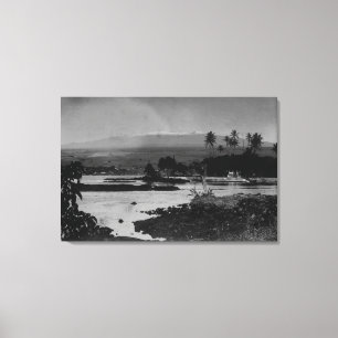 Hilo Hawaii - beskåda av staden fotograferar Canvastryck