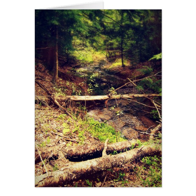 Hilton Bäck Hälsningskort (Framsidan)