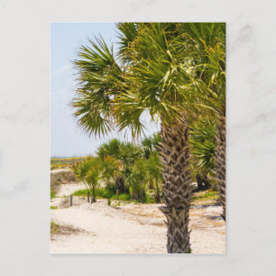 hilton head georgia strand and sea ’Southern stran Vykort