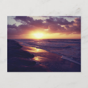 Hilton Head Island, SC Vykort