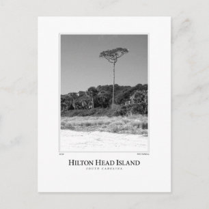 Hilton Head Island Vykort