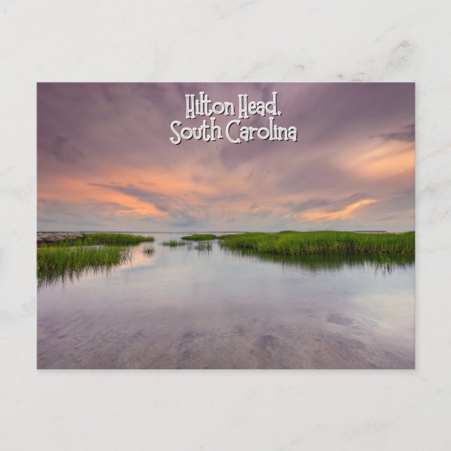 Hilton Head South Carolina Postcard Vykort (Framsida)