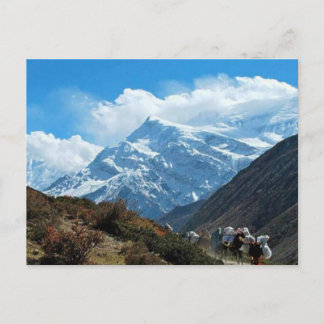 Himalaya Mount Everest India Nepal Travel Sommar Vykort