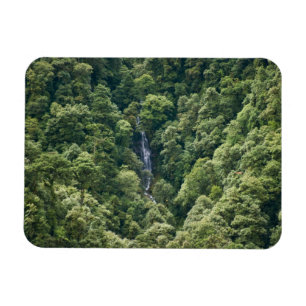 Himalaya-skogen i Mangdue-dalen, Bhutan Magnet