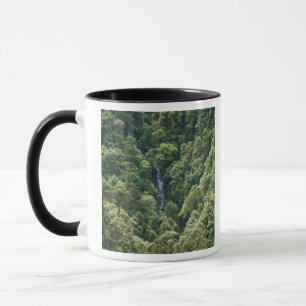 Himalaya-skogen i Mangdue-dalen, Bhutan Mugg
