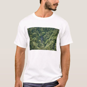Himalaya-skogen i Mangdue-dalen, Bhutan Tee