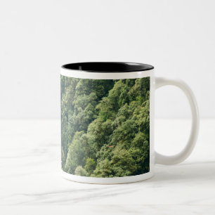 Himalaya-skogen i Mangdue-dalen, Bhutan Två-Tonad Mugg