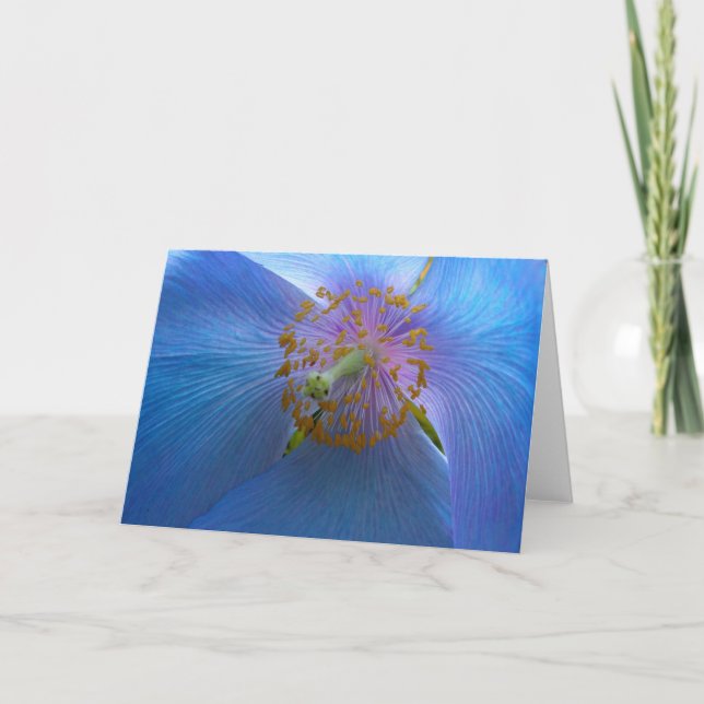 Himalayan Blue Poppy Card Helgkort (Framsida)