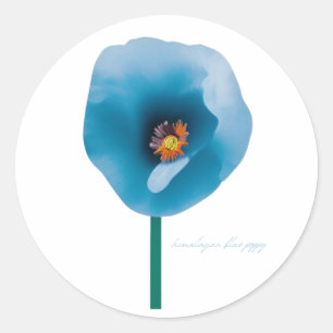 Himalayan Blue Poppy Flower Sticker Runt Klistermärke