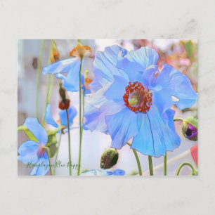 Himalayan Blue Poppy [vykort] Vykort