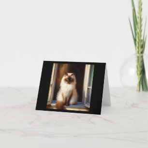 Himalayan Cat Kort