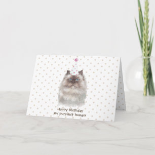 Himalayan Cat med Party Hat Kort