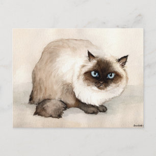 Himalayan Cat Original Art-vykort Vykort