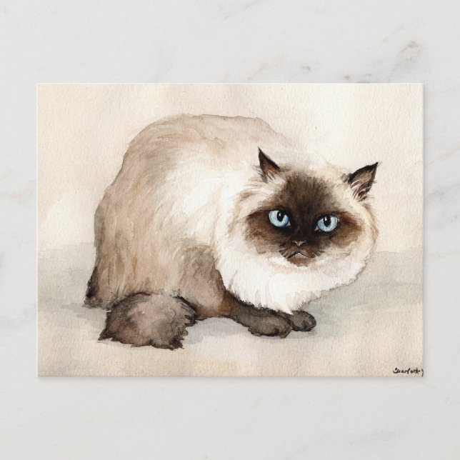 Himalayan Cat Original Art-vykort Vykort (Framsida)