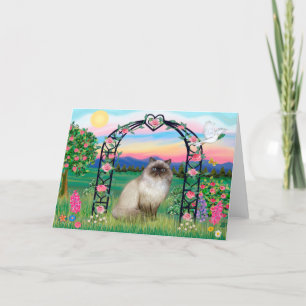 Himalayan Cat - Ro Arbor Kort
