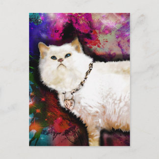 Himalayan Cat Vykort
