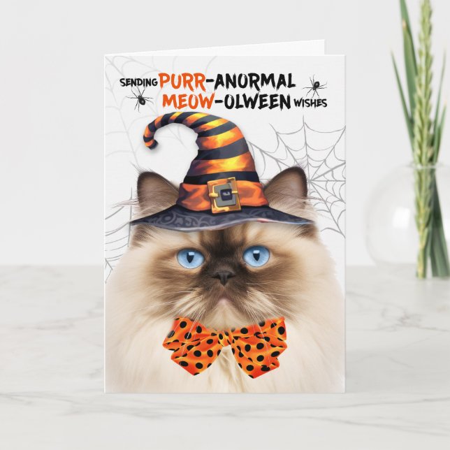 Himalayan Halloween Cat PURRanormal MEOWolween Helgkort (Framsida)