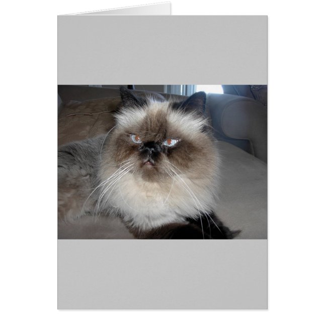 Himalayan Hälsningskort (Framsidan)