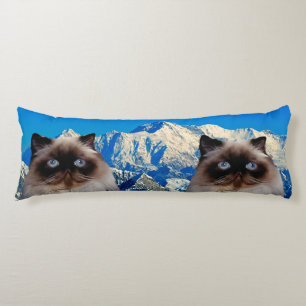 Himalayan katt kroppskudde