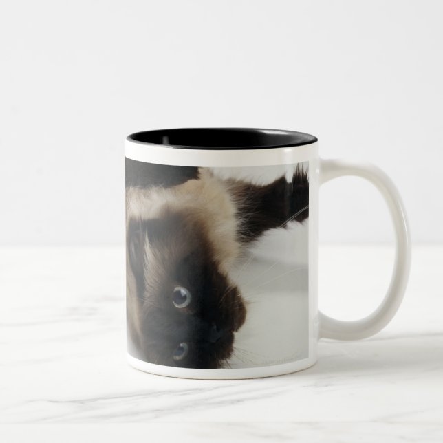 Himalayan katt som ljuger på hans baksida Två-Tonad mugg (Höger)