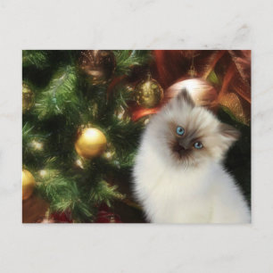 Himalayan kattunge jul helg vykort