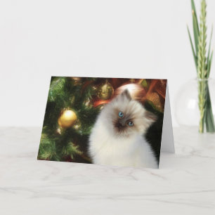Himalayan kattunge jul helgkort