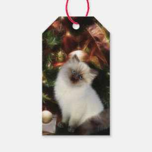 Himalayan kattungejul presentetikett