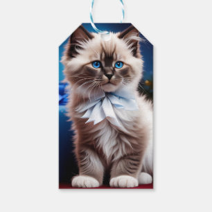 Himalayan Kitten Nuvarande blå båge Presentetikett