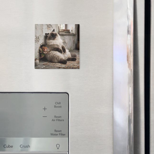 Himalayan Kitty och Pixie Vaknar Med en Överraskni Magnet (In Situ (Fridge))