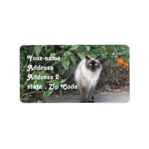 Himalayan Mix cat Adressetikett
